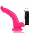 Vibrador Realístico Diversia 21.5 cm 2186125