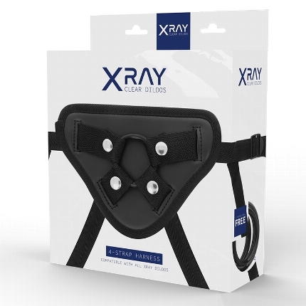 X RAY - HARNESS WITH SILICONE RINGS D-227440