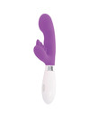 glossy - rabbit elvis purple D-221099