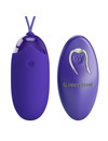 Ovo Vibratório Pretty Love Youth com Comando Roxo,D-237018