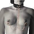 coquette - chic desire fantasy collar con pinzas pezones con forro de neopreno