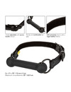 california exotics - boundless bar gag D-229188