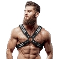 Harness Fetish Submissive Josh