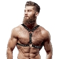 fetish submissive attitude - eco-leather chest harness with double support and studs for men