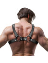 fetish submissive attitude - men's adjustable eco-leather chest bulldog harness D-235871