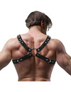 fetish submissive attitude - men's eco-leather bulldog chest harness size m/l D-235872