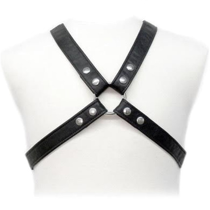 leather body - lasic harness in garment D-205472