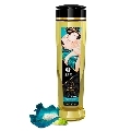 shunga - sensual erotic massage oil 240 ml