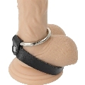 darkness - metal ring for the penis and testicles