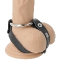 darkness - bdsm cock and testicle ring