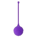 Bolas de Kegel Intense Kisha Fit One Roxo