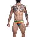 cut4men - low rise brief rainbow l