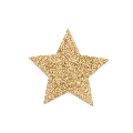 Tapa Mamilos Bijoux Golden Star