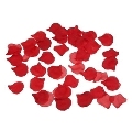 spicy devil - 100 red petals