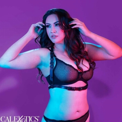 california exotics - euphoria plus size halter buckle harness black