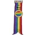 Pin Pride Bandeira LGBTQIA+