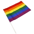 pride - lgbt flag large pennant