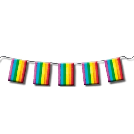 pride - lgbt flag strip 10 meters.