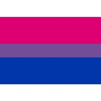 Bandeira Bisexual 90 x 150