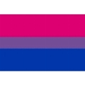 Bandeira Bisexual 90 x 150